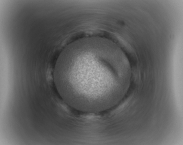 X0000113860770200910011020