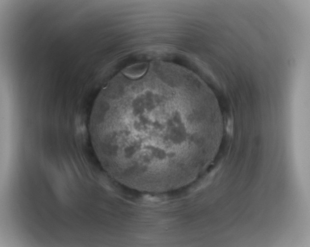 X0000113860771200910011020