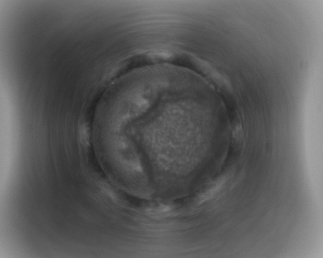 X0000113860772200910011020