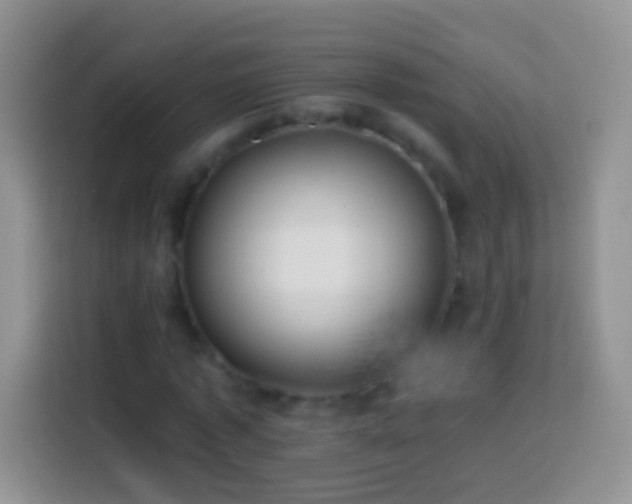X0000113860773200910011020