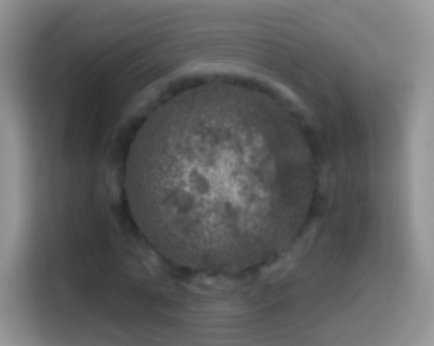 X0000113860774200910011020