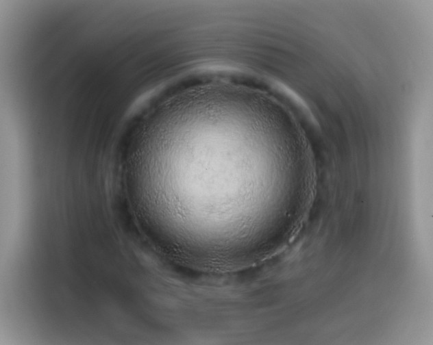 X0000113860775200910011020