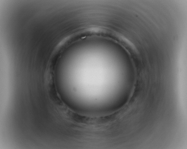 X0000113860776200910011020