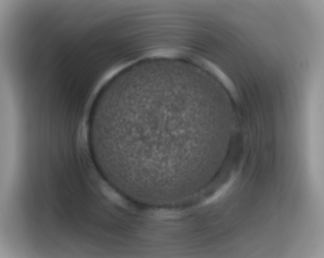 X0000113860779200910011020