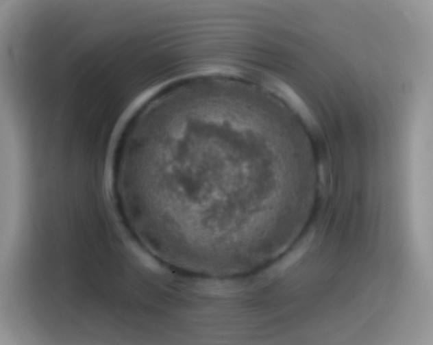 X0000113860780200910011020