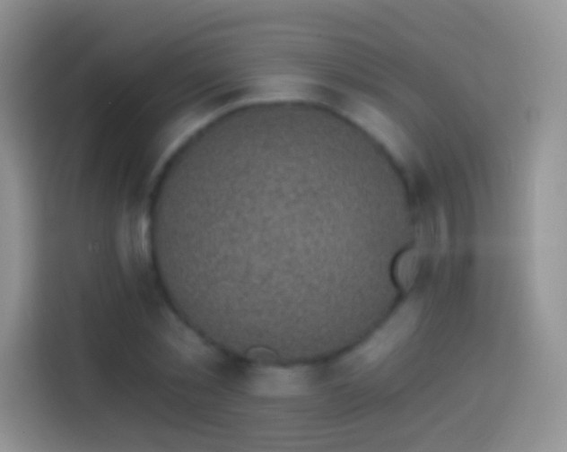X0000113860781200910011020