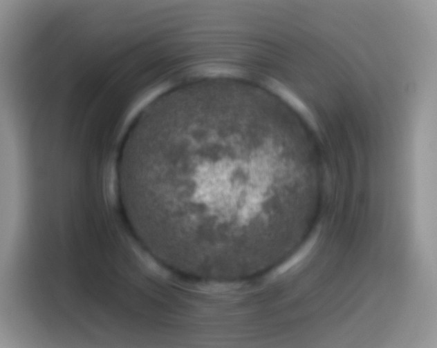 X0000113860782200910011020
