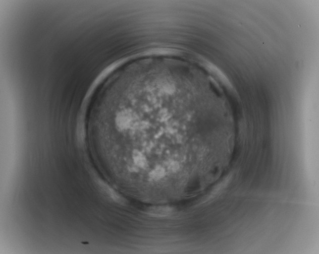 X0000113860784200910011020