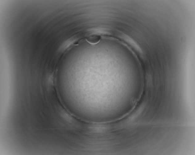 X0000113860785200910011020