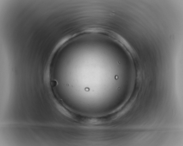 X0000113860787200910011020