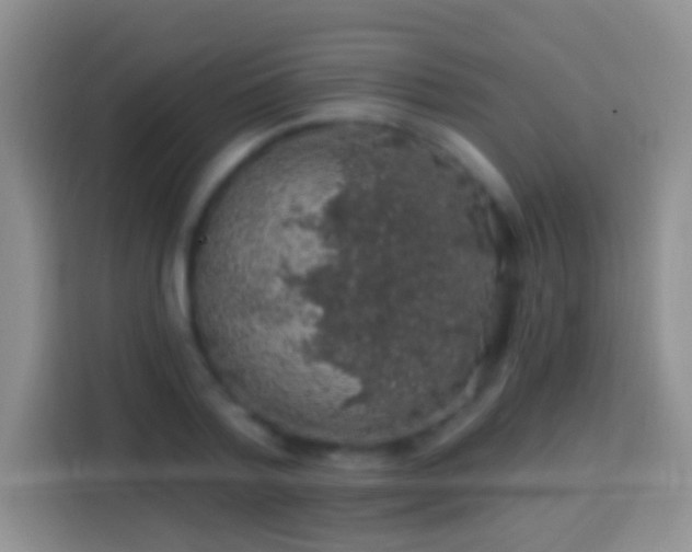 X0000113860788200910011020