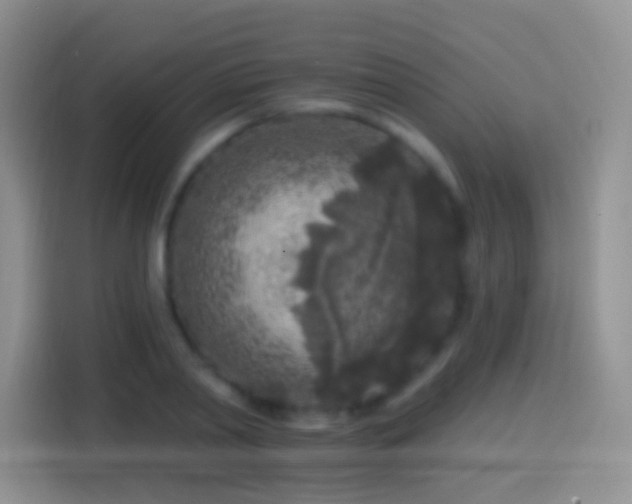 X0000113860790200910011020