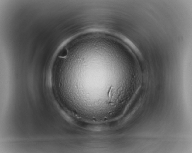 X0000113860791200910011020