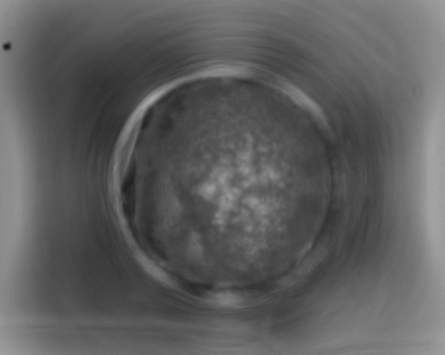 X0000113860792200910011020