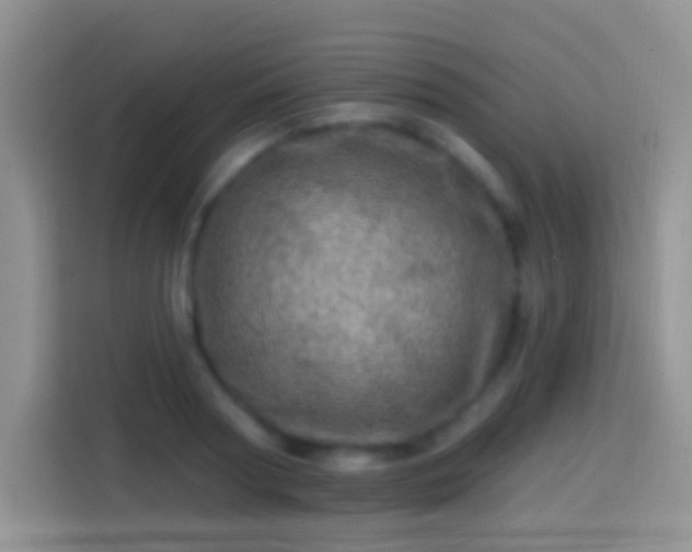 X0000113860794200910011020