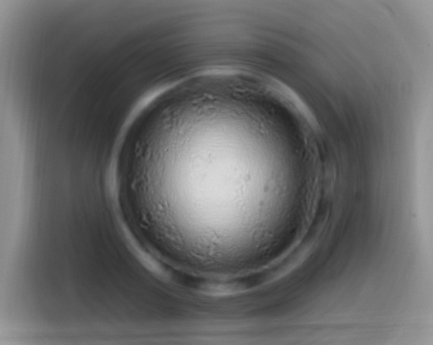 X0000113860795200910011020