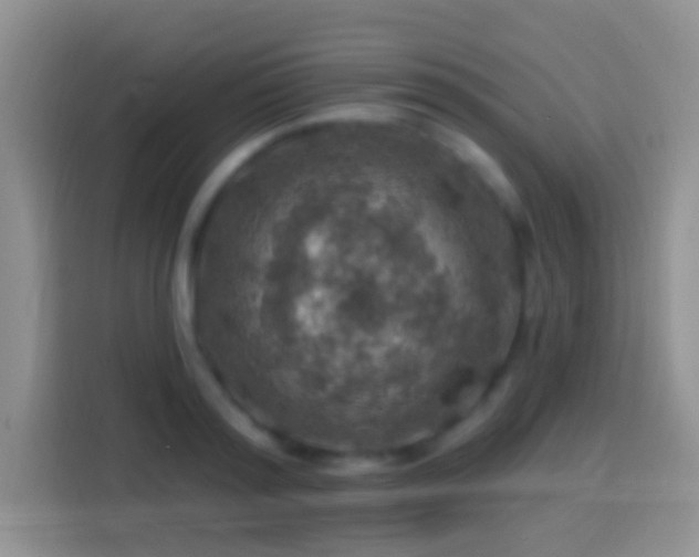 X0000113860796200910011020