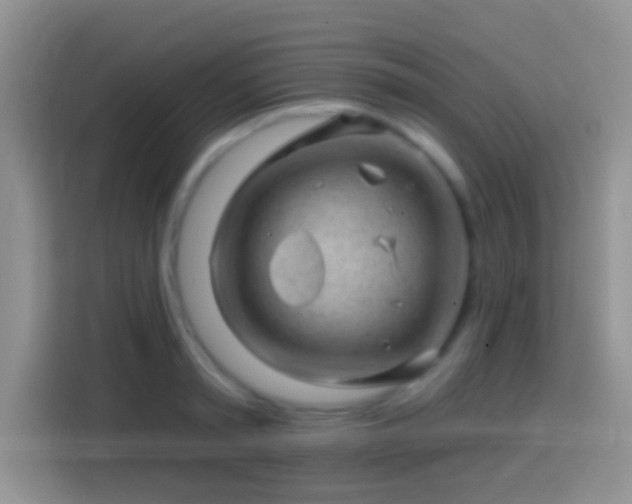 X0000113860797200910011020