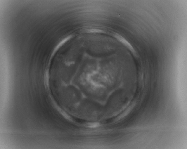 X0000113860798200910011020