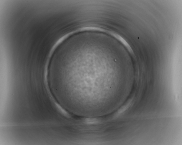 X0000113860799200910011020