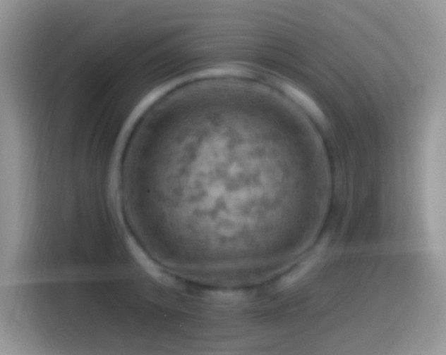X0000113860800200910011020