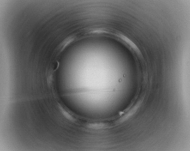 X0000113860801200910011020