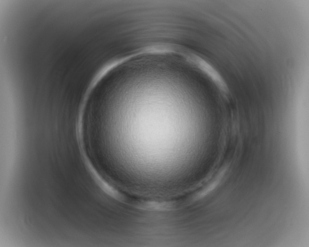 X0000113860803200910011020