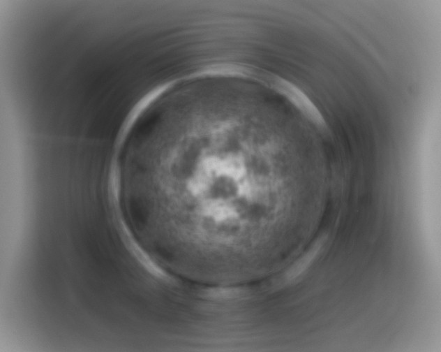 X0000113860804200910011020