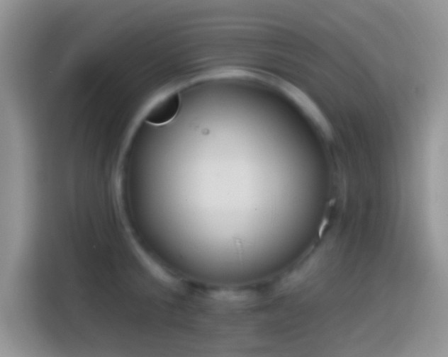X0000113860805200910011020
