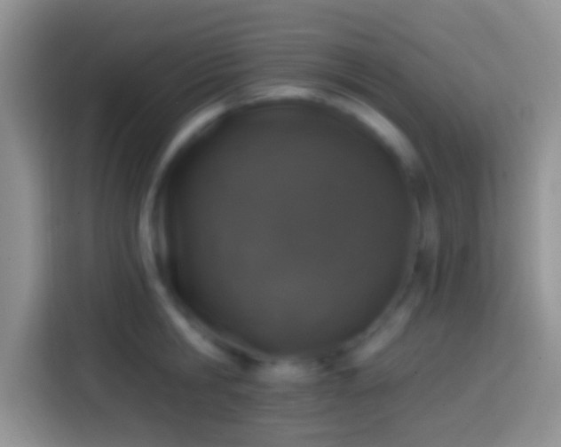 X0000113860806200910011020