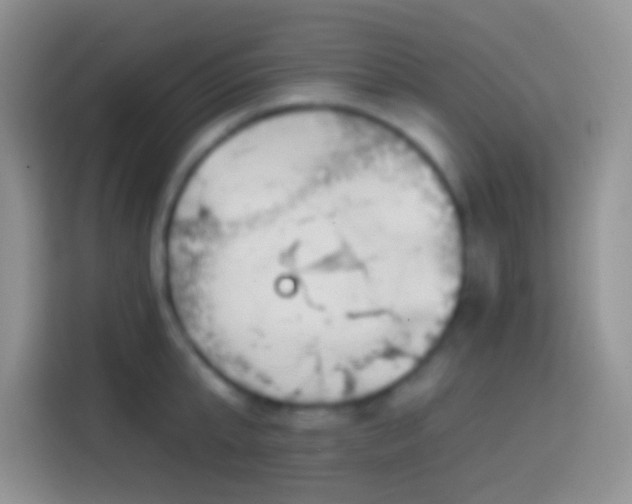 X0000113860807200910011020