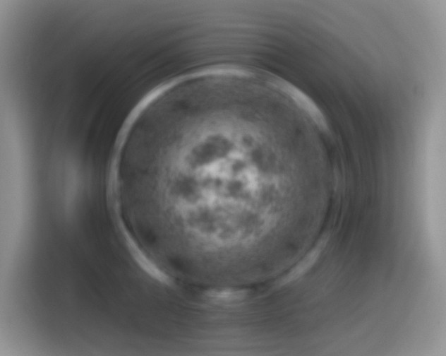 X0000113860808200910011020