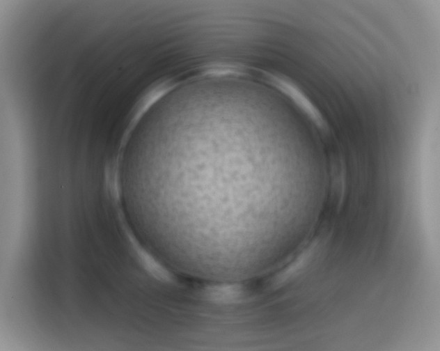 X0000113860810200910011020