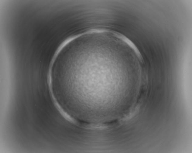 X0000113860811200910011020
