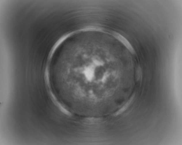 X0000113860812200910011020