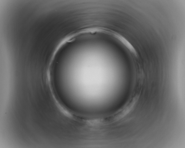 X0000113860813200910011020