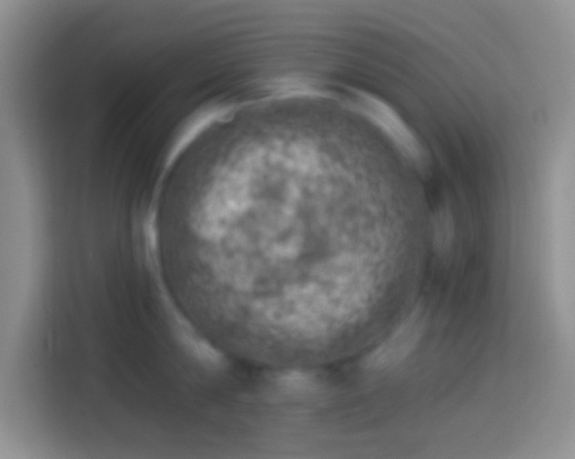 X0000113860814200910011020