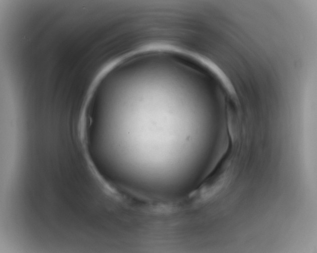 X0000113860815200910011020