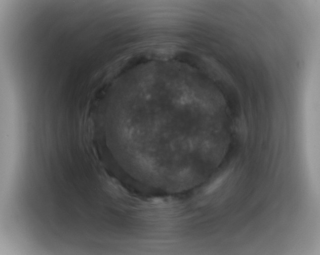 X0000113860818200910011019