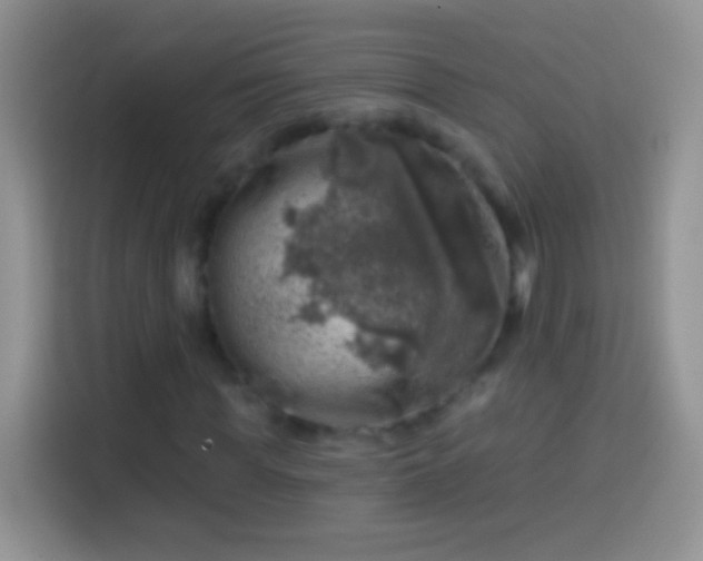 X0000113860819200910011019