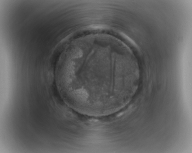 X0000113860821200910011019