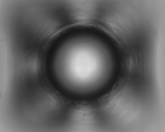 X0000113860822200910011019