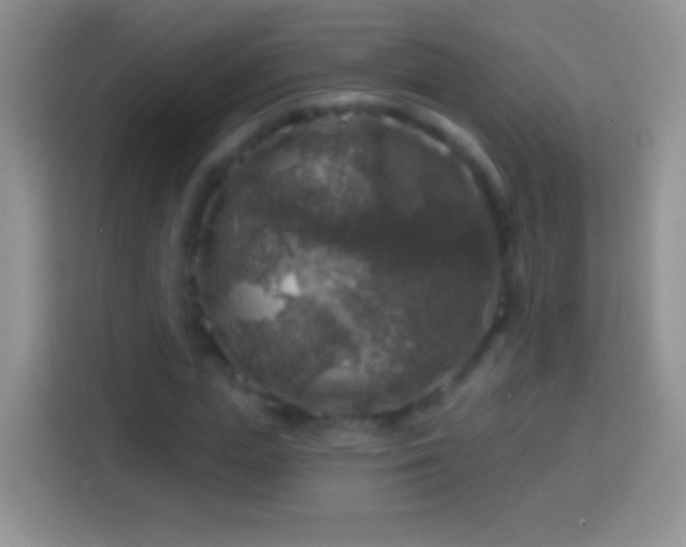 X0000113860823200910011019