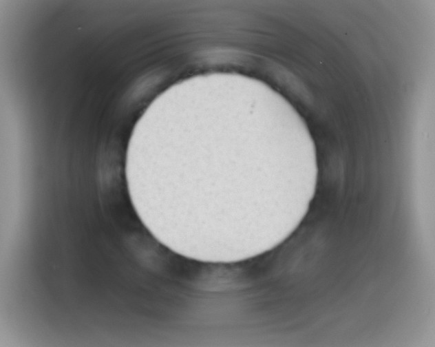 X0000113860824200910011019