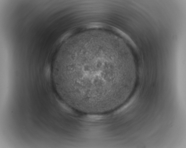 X0000113860825200910011019