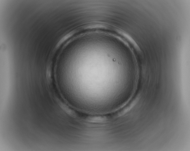 X0000113860826200910011019