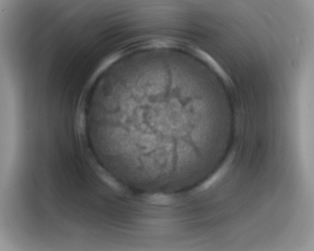X0000113860827200910011019