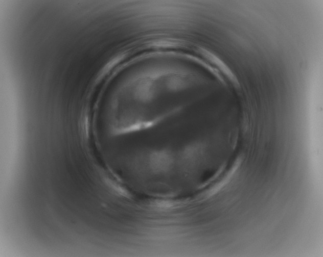X0000113860829200910011019