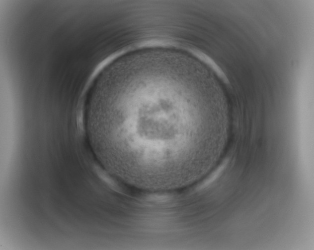 X0000113860830200910011019
