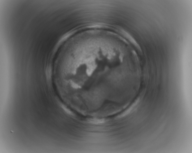 X0000113860831200910011019